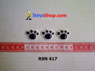 rsn 417  large2